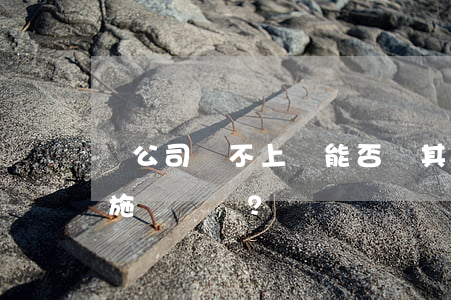 總公司還不上錢,能否對其分公司采取限高措施？
